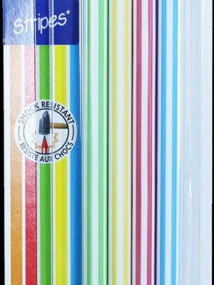 Bic Evolution Pencils 4 pack