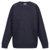 Navy Unisex School Sweatshirt Single Pack