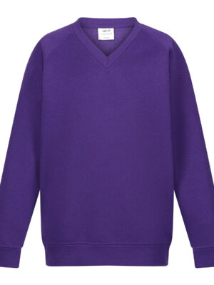 Purple Unisex School V-Neck Sweatshirt Single Pack