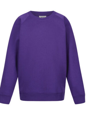 Purple Unisex School Sweatshirt Single Pack