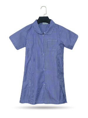 Girls School Blue Gingham Dress