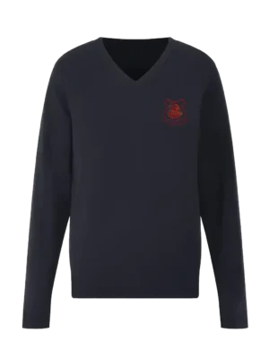 Bishop Fox's School Girls Jumper